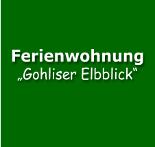 Ferienwohnung  „Gohliser Elbblick“